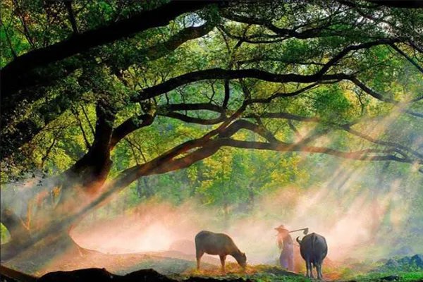 十大ppt背景音乐 适合做PPT的背景音乐推荐