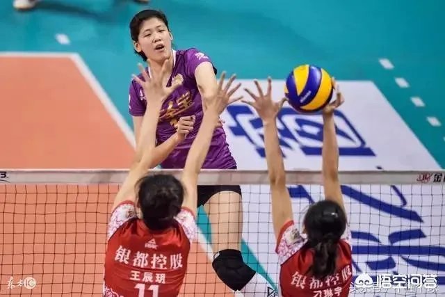 辽宁女排能夺冠吗？