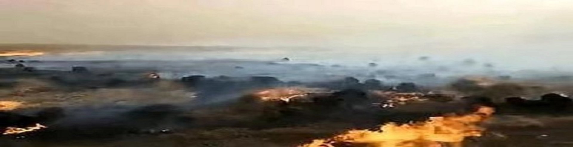 蒙古国入境草原大火已被扑灭,这次的火灾造成了哪些损失?