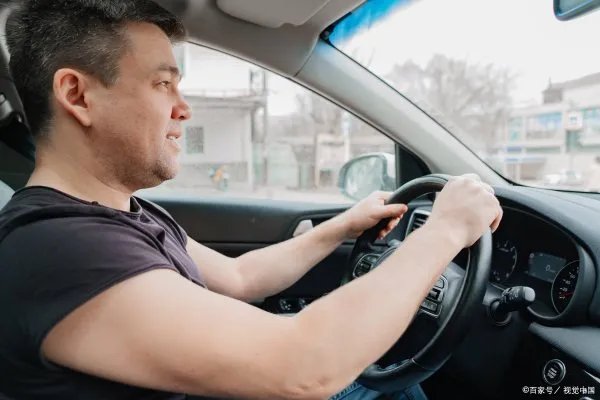 开车前为什么要拍拍车盖？如何避免开车撞上小动物呢？