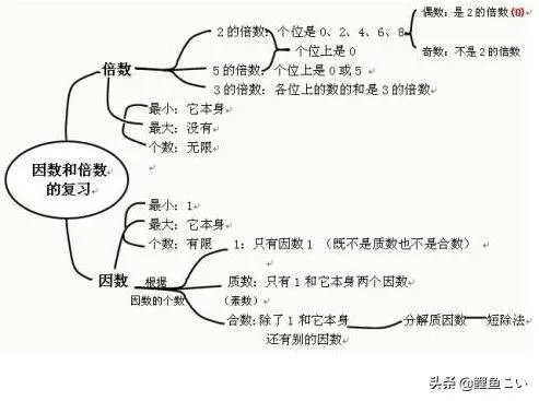 18的因数有哪些？