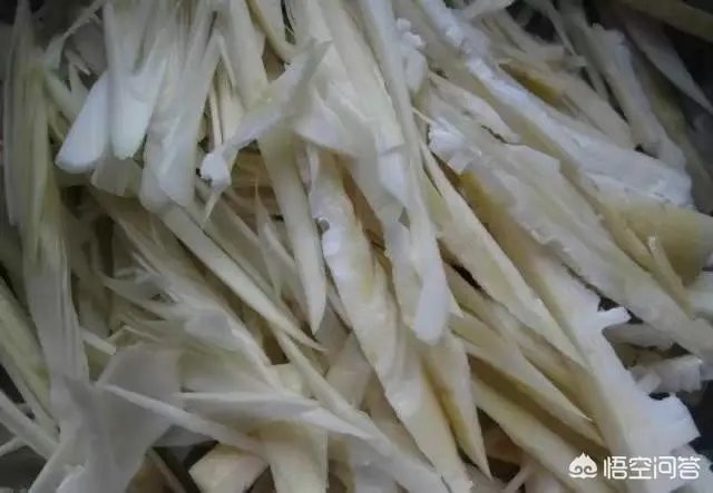 苦竹笋有什么功效?