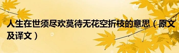 人生在世须尽欢莫待无花空折枝的意思（原文及译文）