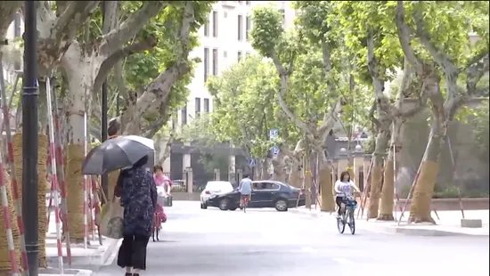 滴滴司机接跨省订单乘客半路改道失联付款没有？