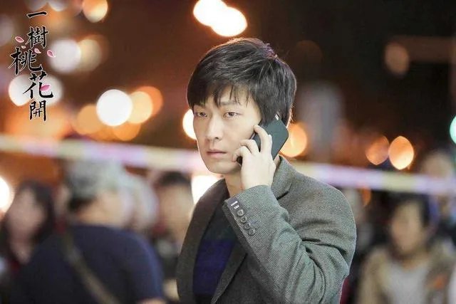 电视剧《一树桃花开》，相比盛开，为啥狄英最后能治服罗耀辉母？