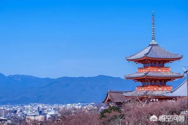 如何评价日本圣德太子的改革？