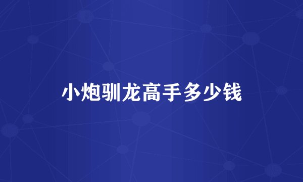小炮驯龙高手多少钱