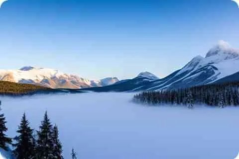 怎样可以让人快速死亡