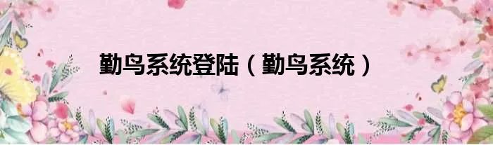 勤鸟系统登陆（勤鸟系统）