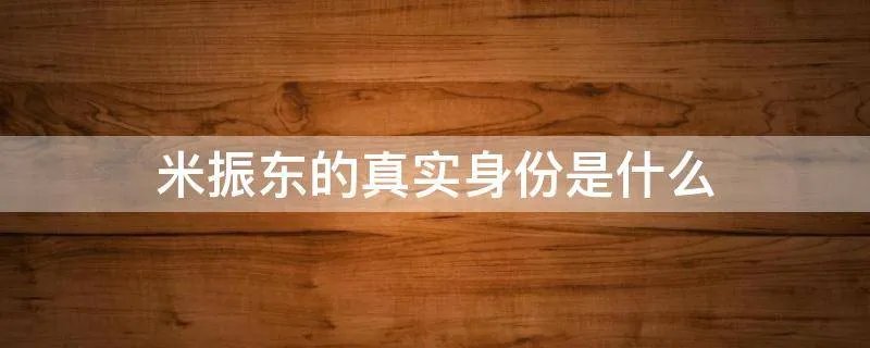 米振东的真实身份是什么
