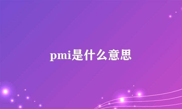 pmi是什么意思