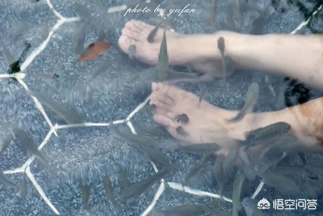 为什么说河源市和平县是个好地方？