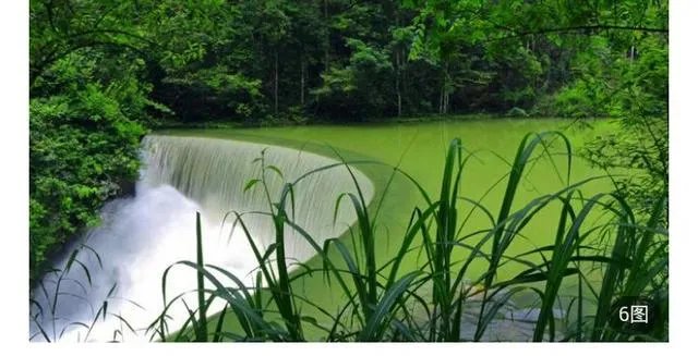 每天都开心不起来怎么办？