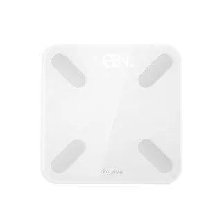 云麦体脂秤价格