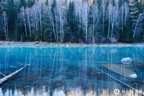 漫谈M43 篇一：M43画幅相机？这个相机体系有什么优劣？有图有真相！