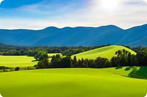 三月七号是什么星座