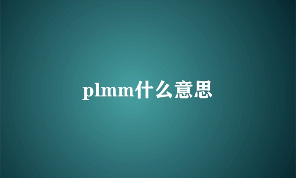 plmm什么意思