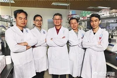 在未来,能做全身的血管支架手术吗?