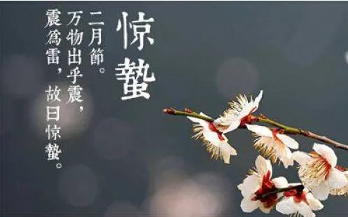 关于惊蛰的古诗