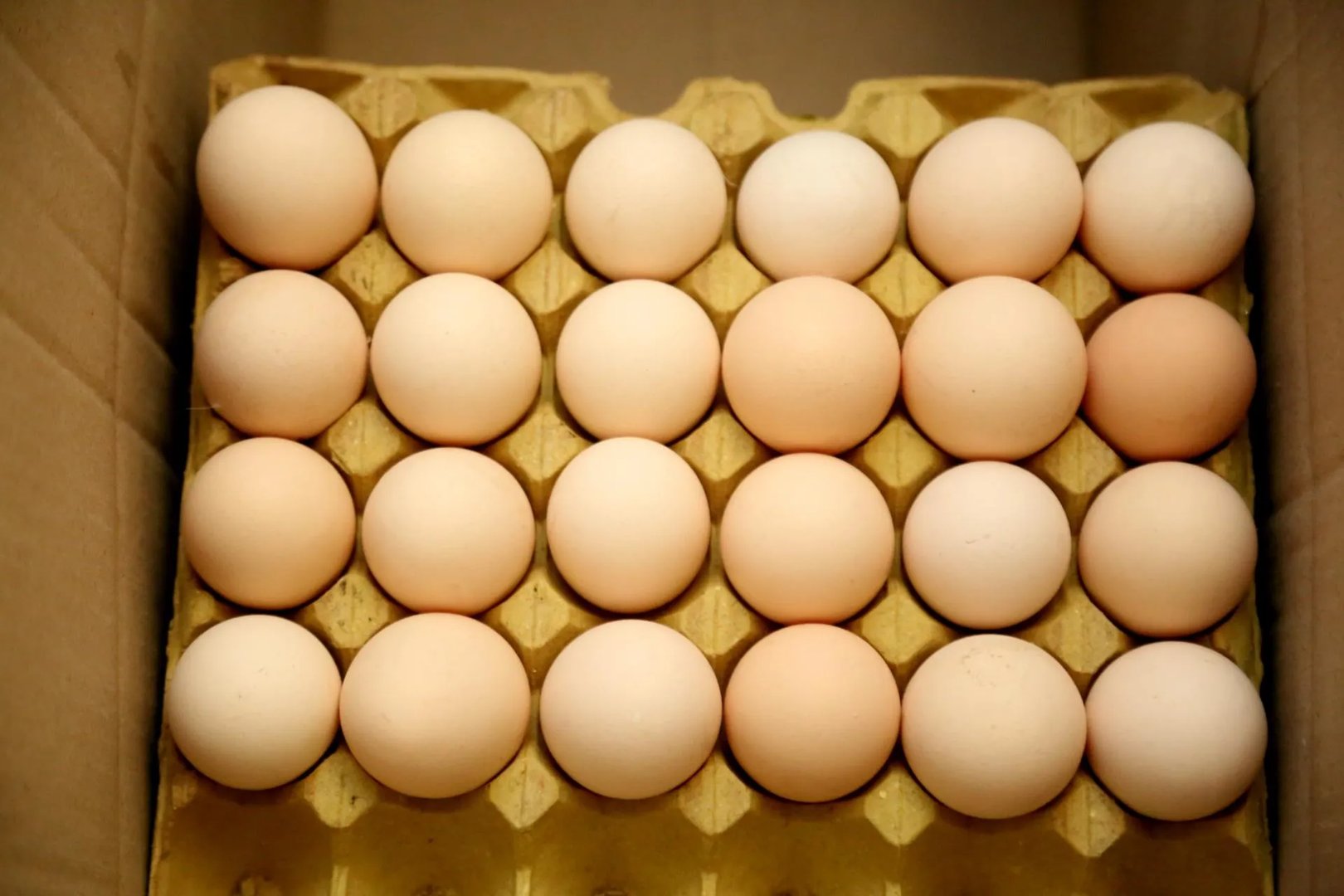 熟蛋返生作者20余个头衔涉身份造假,假头衔的危害是什么?