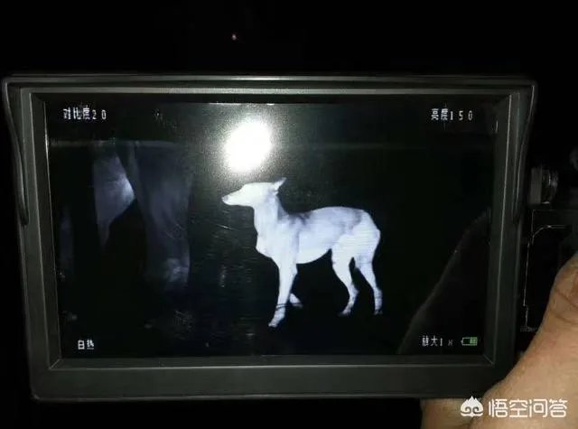 打猎专用夜视仪一般多少钱？