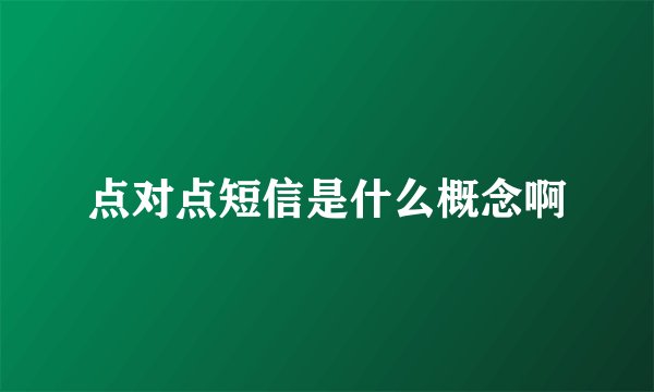 点对点短信是什么概念啊