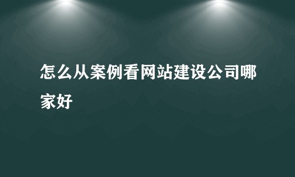 怎么从案例看网站建设公司哪家好