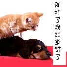 动漫下跪求原谅图片