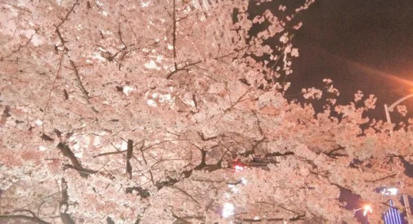 江汉大学怎么样？