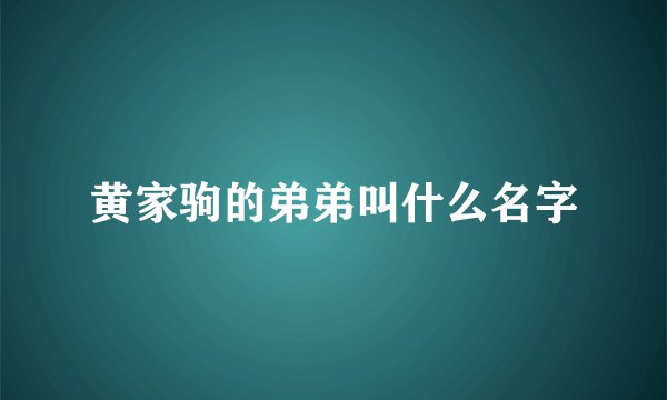 黄家驹的弟弟叫什么名字