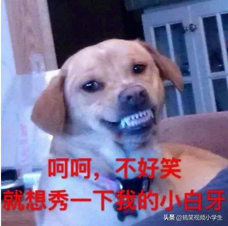 有没有和老婆出门办事发生的糗事或者搞笑的段子呢？