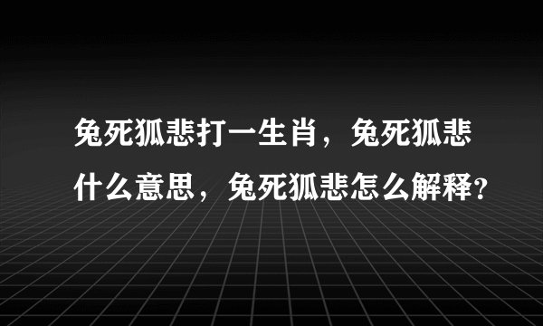 兔死狐悲打一生肖，兔死狐悲什么意思，兔死狐悲怎么解释？