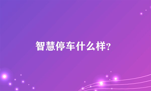 智慧停车什么样？