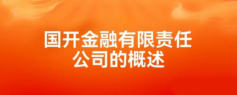 国开金融有限责任公司的概述