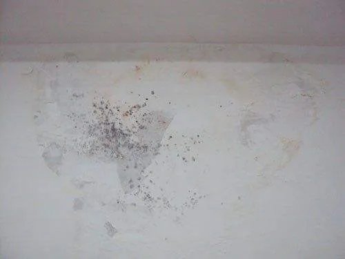 墙壁发霉怎么处理 4个妙招轻松解决