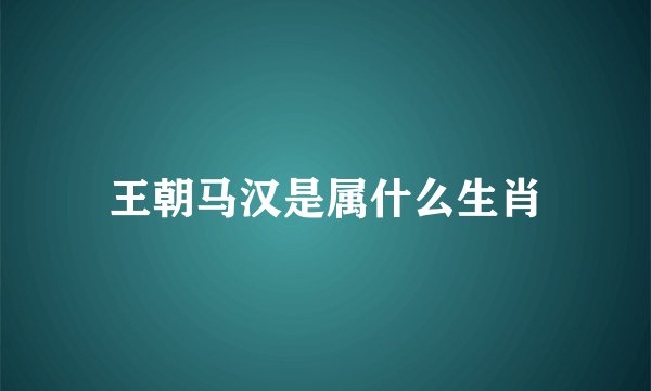 王朝马汉是属什么生肖