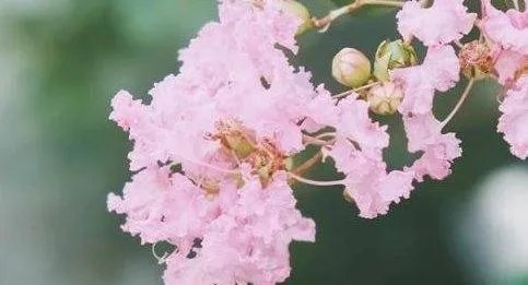 让对方看到伤心的哭的句子有哪些呢？