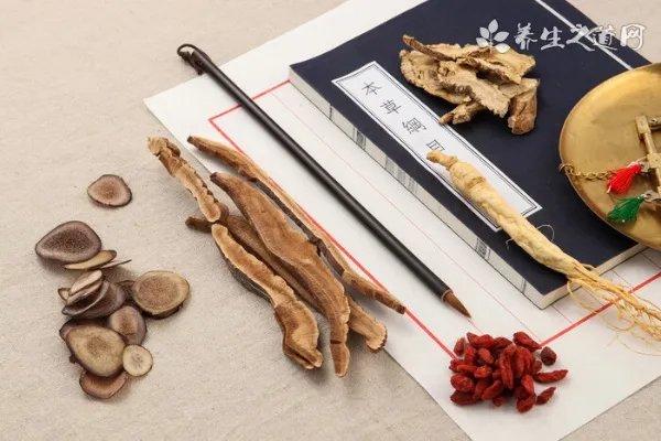 潞党参膏滋的功效