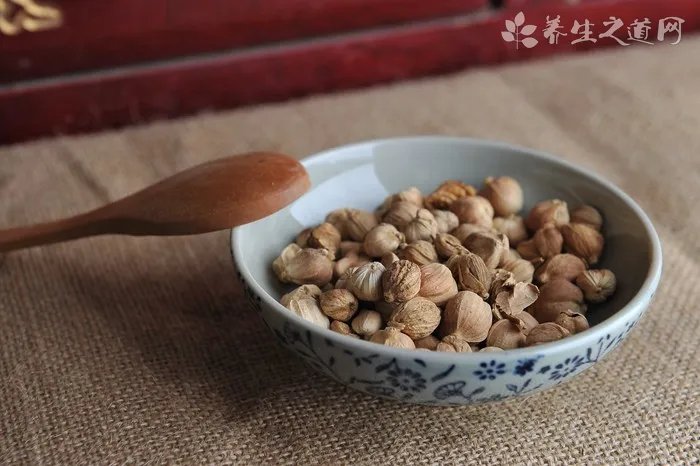 山海螺的功效与作用