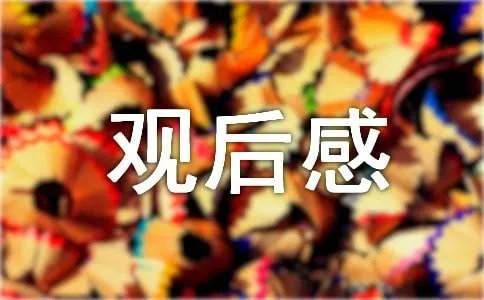 《一个都不能少》观后感