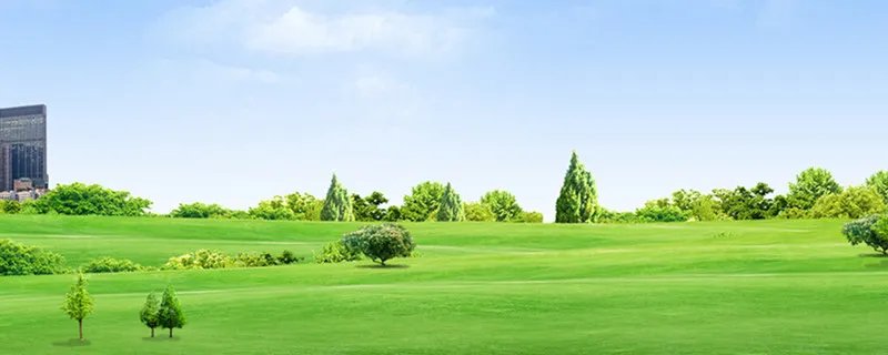 草坪种植方法 怎么种植草坪