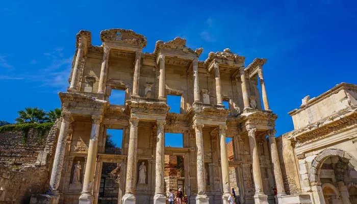 绿卡是什么意思 中国绿卡是什么意思