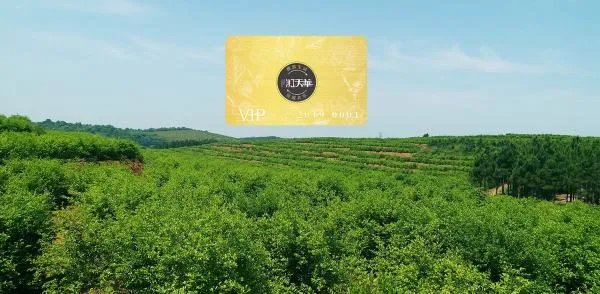 给领导送礼送什么