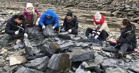 湖北宜昌现清江生物群 距今5.18亿年属突破性发现