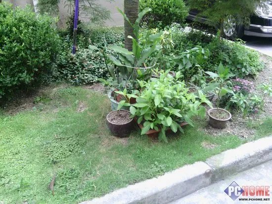 摩托罗拉XT535拍照功能