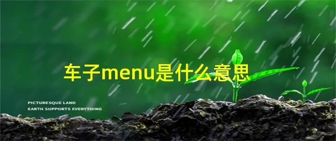 车子menu是什么意思