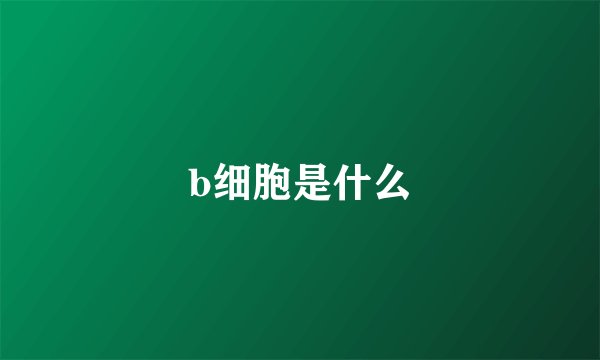b细胞是什么