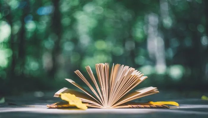 天籁之音是什么意思 天籁之音是什么意思简短