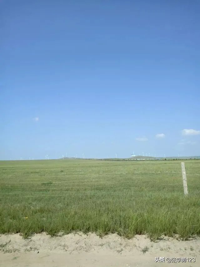 天津为什么多美女？