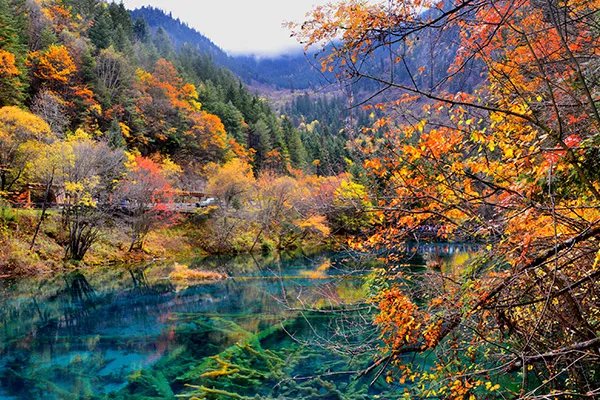 四川九寨沟旅游攻略 九寨沟旅游攻略
